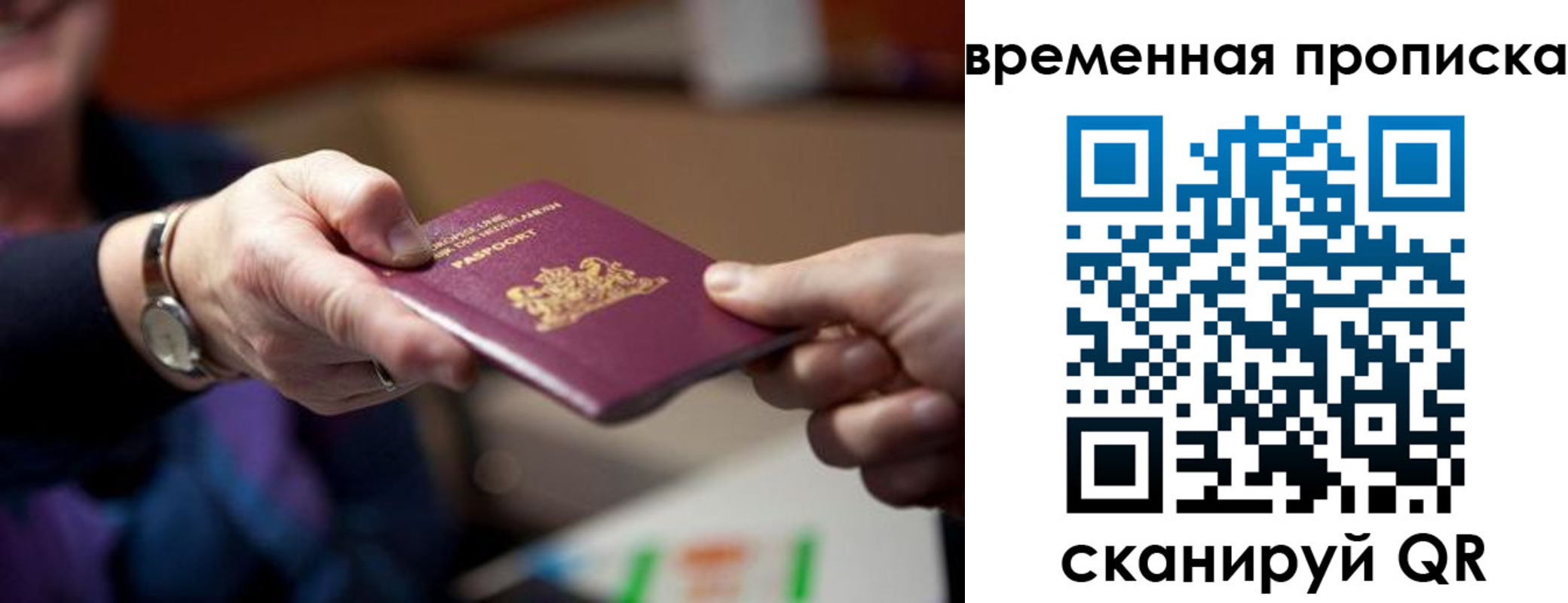 временная регистрация для всех в Брянской области